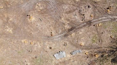 Ağaç kesme yeri, hava manzarası. Harap olmuş topraklar. Kesik orman.
