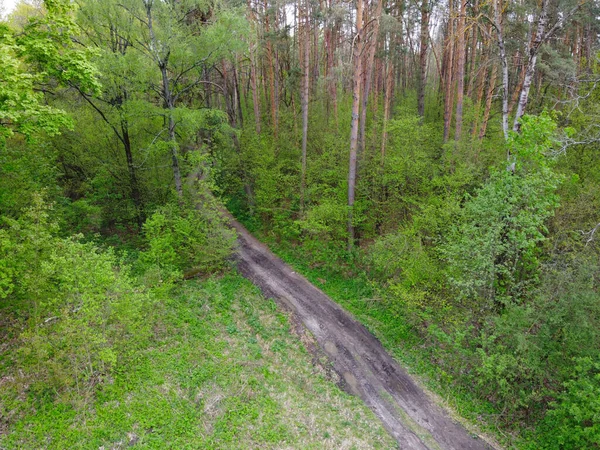 Špinavá Cesta Mezi Stromy Jarním Lese Letecký Pohled — Stock fotografie