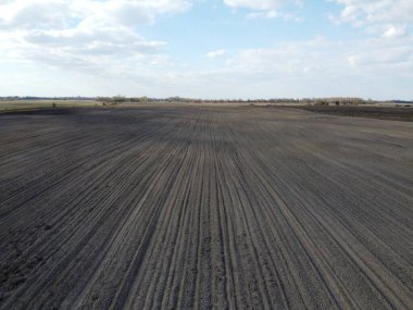 Tedavi edilmiş çiftlik alanı, hava manzarası. Tarım arazisi.