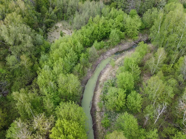 Ein Kleiner Fluss Zwischen Den Bäumen Frühling Luftaufnahme Waldfluss — Stockfoto