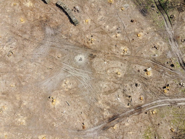 Место заготовки леса, вид с воздуха. Опустошенная земля. Срубленный лес.