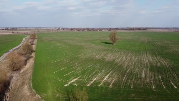 Trockener Sanierungskanal Feld Luftaufnahme Agrarlandschaft — Stockvideo