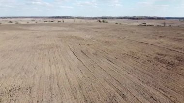 Güneşli bir günde, ormanın yakınındaki ekilebilir alan, hava manzaralı. Tarım alanı.