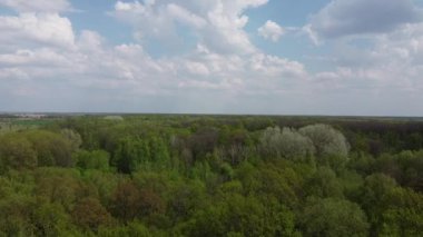 Yoğun bir ormanın üzerindeki mavi bulutlu gökyüzü, hava manzarası. Ormanın üzerinde güzel bulutlu gökyüzü.