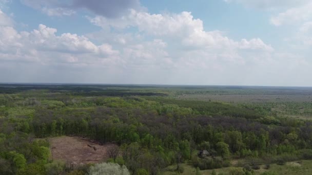 Místo Kácení Letecký Výhled Zpustošená Země Mýtina — Stock video