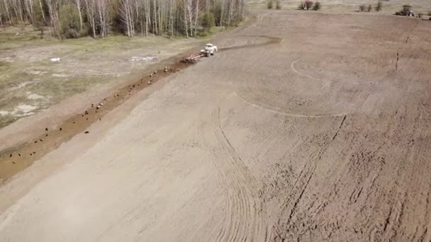 Maszyny Rolnicze Polu Pobli Ego Gaju Widok Lotu Ptaka Grunty — Wideo stockowe