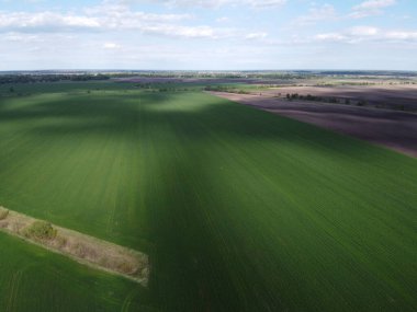 Kuru bir sulama kanalı ekilmiş bir tarlada, hava manzaralı. Tarım arazisi.