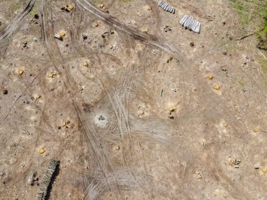 Ağaç kesme yeri, hava manzarası. Harap olmuş topraklar. Kesik orman.