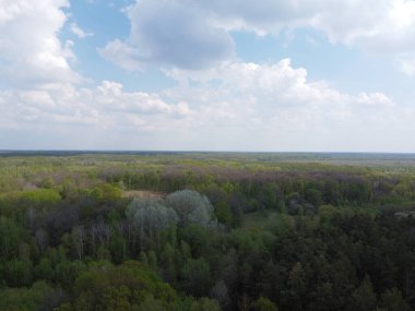 Yoğun bir ormanın üzerindeki mavi bulutlu gökyüzü, hava manzarası. Ormanın üzerinde güzel bulutlu gökyüzü.