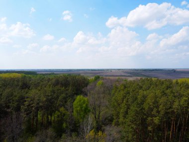 Yoğun bir ormanın üzerindeki mavi bulutlu gökyüzü, hava manzarası. Ormanın üzerinde güzel bulutlu gökyüzü.