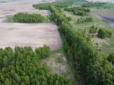 Yeşil koru tarlalarla çevrili, hava manzaralı. Güzel manzara.