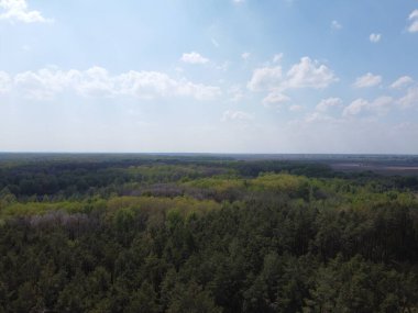 Yoğun bir ormanın üzerindeki mavi bulutlu gökyüzü, hava manzarası. Ormanın üzerinde güzel bulutlu gökyüzü.