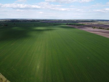 Çiftlik arazisi manzaralı. Yeşil tarlada bulutların gölgeleri.