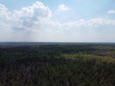 Yoğun bir ormanın üzerindeki mavi bulutlu gökyüzü, hava manzarası. Ormanın üzerinde güzel bulutlu gökyüzü.