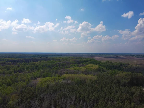 Blauwe Lucht Boven Een Groot Mooi Bos Vanuit Lucht — Stockfoto