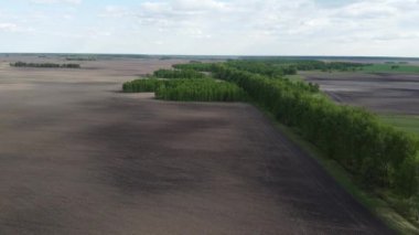 Yeşil koru tarlalarla çevrili, hava manzaralı. Güzel manzara.