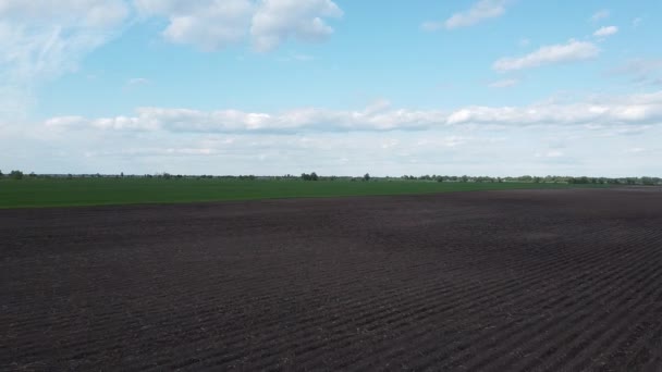 Amplias Tierras Cultivo Día Soleado Vista Aérea Ámbito Agrícola Propio — Vídeo de stock