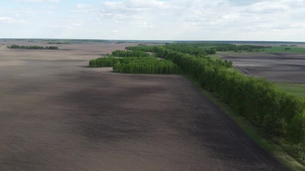 緑の森の耕起フィールド 空中ビューに囲まれた 美しい風景 — ストック動画