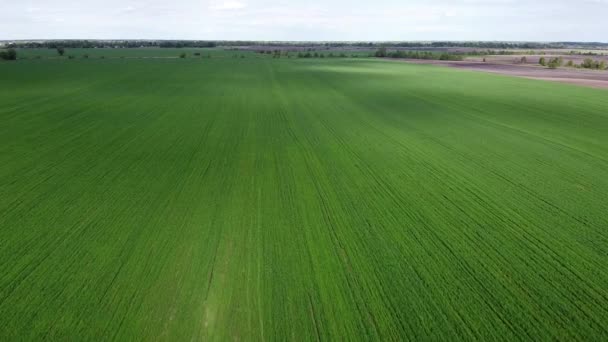 Ciel bleu sur un champ vert, vue aérienne. Paysage agricole.