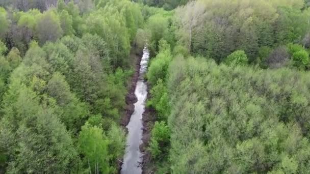 Malá Řeka Mezi Stromy Jaře Letecký Výhled Forest River — Stock video