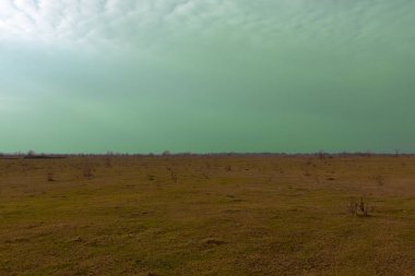 Soğuk bir akşamda Steppe sade. Sahada gökyüzü çok güzel. Peyzaj.