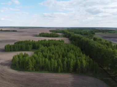 Yeşil koru tarlalarla çevrili, hava manzaralı. Güzel manzara.