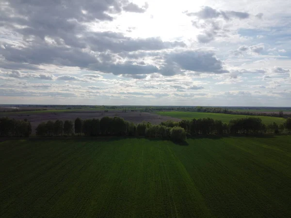 Beautiful cloudy sky over the field, aerial view. Forest belt.
