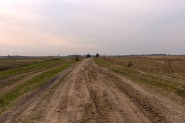 Bir bahar akşamında tarlalar arasında toprak yol.