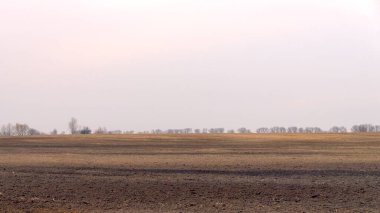 Bulutlu bir bahar akşamında tarım tarlası.