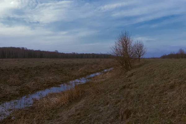 Mała Bagnista Rzeka Polu Zwiędłe Trawy Brzegach Rzeki Krajobraz Wieczorny — Zdjęcie stockowe