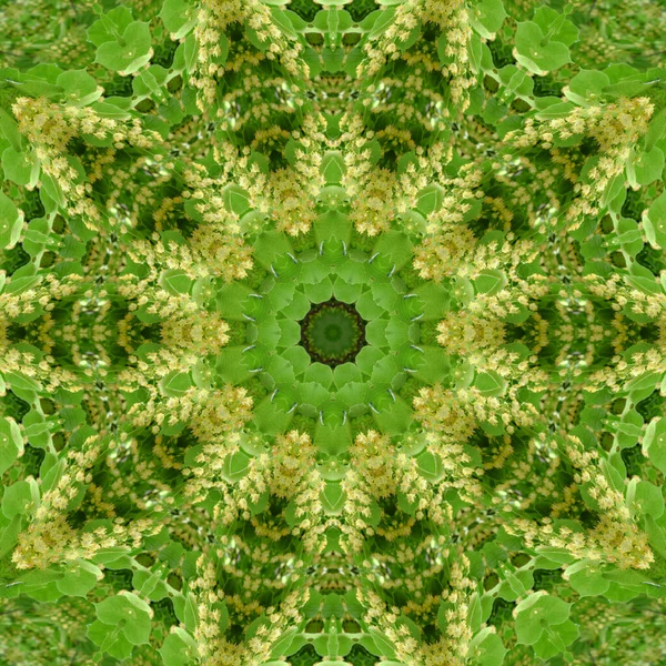 Abstraktes Kaleidoskop Schöne Mehrfarbige Kaleidoskop Textur Einzigartiges Kaleidoskopdesign — Stockfoto