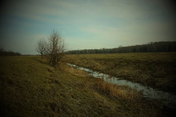 Kleiner Sumpfiger Fluss Auf Dem Feld Welke Gräser Ufer Des — Stockfoto