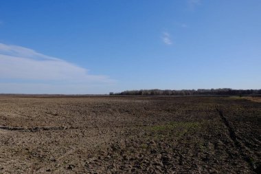 Güneşli bir bahar gününde ekilmiş bir tarla. Çiftlik arazisi üzerinde mavi gökyüzü. Peyzaj.