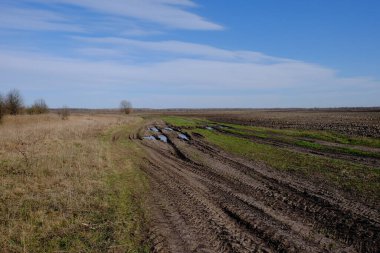 Bir bahar gününde tarlada toprak yol. Peyzaj.