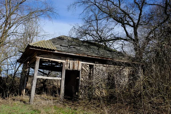 树林中一座废弃的旧村舍的废墟 灌木丛中一座废弃的老房子 — 图库照片