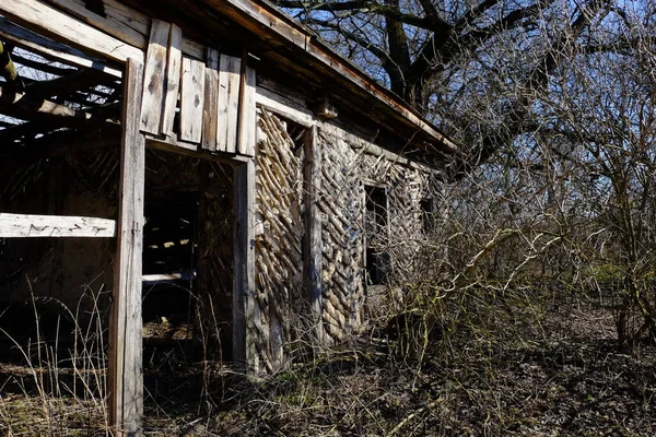 灌木丛中一座废弃的村舍被毁 旧破烂不堪的房子 — 图库照片