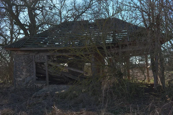 灌木丛中一座废弃的村舍被毁 旧破烂不堪的房子 — 图库照片