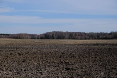 Güneşli bir bahar gününde ekilmiş bir tarla. Çiftlik arazisi üzerinde mavi gökyüzü. Peyzaj.