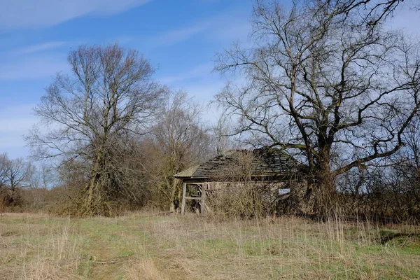 Ruínas Uma Antiga Casa Abandonada Entre Árvores Paisagem Uma Velha — Fotografia de Stock