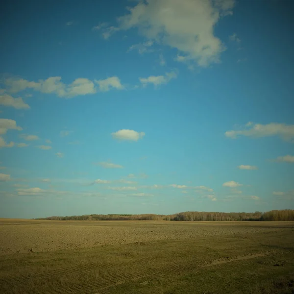 Красивое Облачное Небо Над Сельхозугодицами Весенний Пейзаж Виньет — стоковое фото