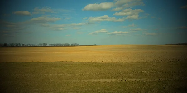 農地の上に美しい曇りの空 春の風景 ヴィネット — ストック写真