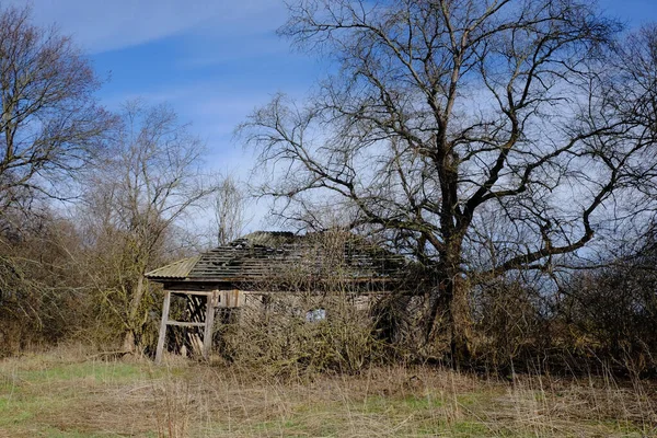 Ruínas Uma Antiga Casa Abandonada Entre Árvores Paisagem Uma Velha — Fotografia de Stock