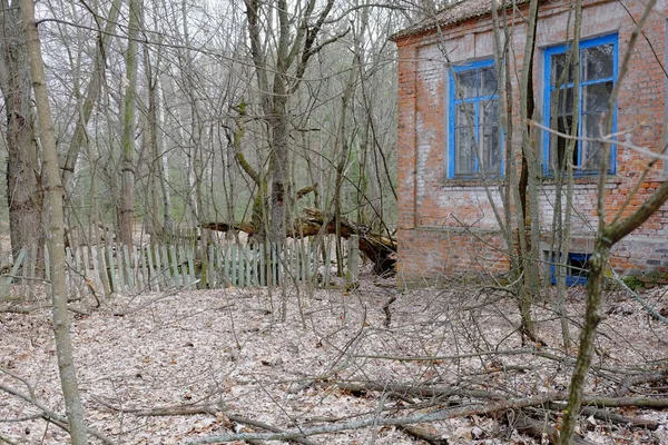 Folhagem Outono Chão Árvores Frente Uma Antiga Casa Abandonada Zona — Fotografia de Stock