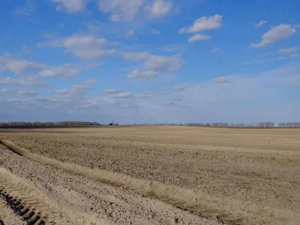 Tarlada tarla sürmüş büyük tarım makinelerinin izleri. Çiftlik arazisinin üstündeki gökyüzü. Tarım arazisi.