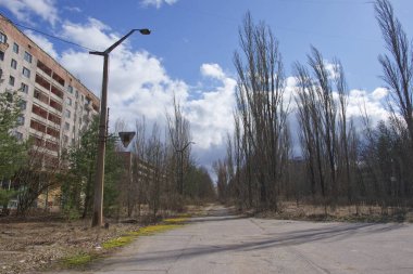 Pripyat 'ın merkez caddesinde büyük kavak ağaçları. Çernobil sınırlama bölgesindeki hayalet kasaba. Peyzaj.