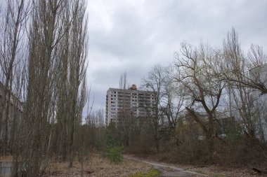 Pripyat 'ın hayalet kasabasında terk edilmiş bir ev. Ağaçlarla kaplı terk edilmiş bir şehir. Bölge radyasyonla kirlenmiş. Sovyet cumhuriyetinin arması binanın çatısında..