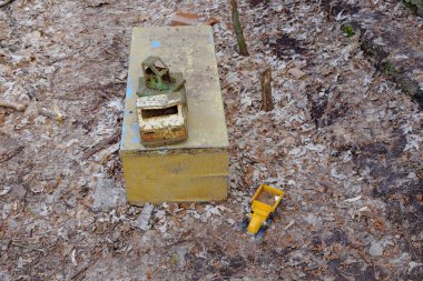 Paslı oyuncak araba. Yerde sonbahar yaprakları..