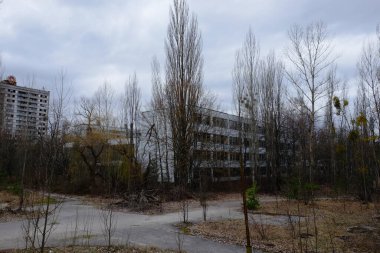 Pripyat 'ta ağaçların arasında terk edilmiş evler. Radyasyon kirliliği alanında terk edilmiş binalar..
