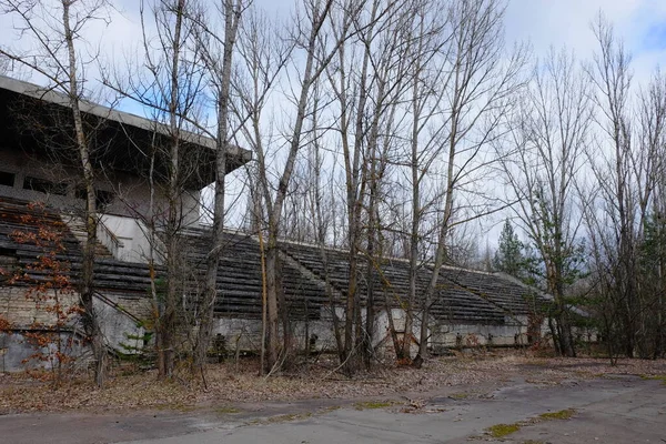 Ένα Εγκαταλελειμμένο Γήπεδο Ποδοσφαίρου Στο Πριπιάτ Παραμεγάλωσε Δέντρα Ερείπια Του — Φωτογραφία Αρχείου