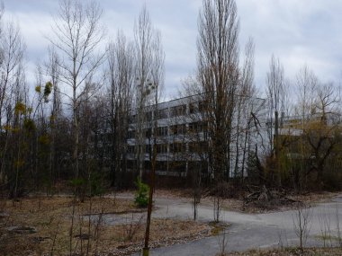 Pripyat 'ta ağaçların arasında terk edilmiş evler. Radyasyon kirliliği alanında terk edilmiş binalar..